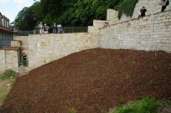 Hoefische WeinNacht 2017 017