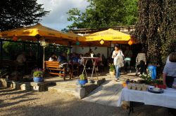 Hoefische WeinNacht 2017 032