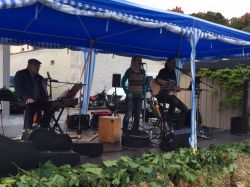 Hoefische WeinNacht 2017 069