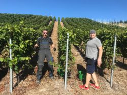 Lese Kriechau 2019 007