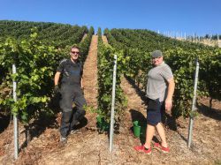 Lese Kriechau 2019 008