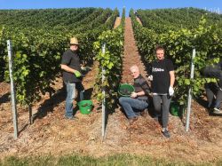 Lese Kriechau 2019 009